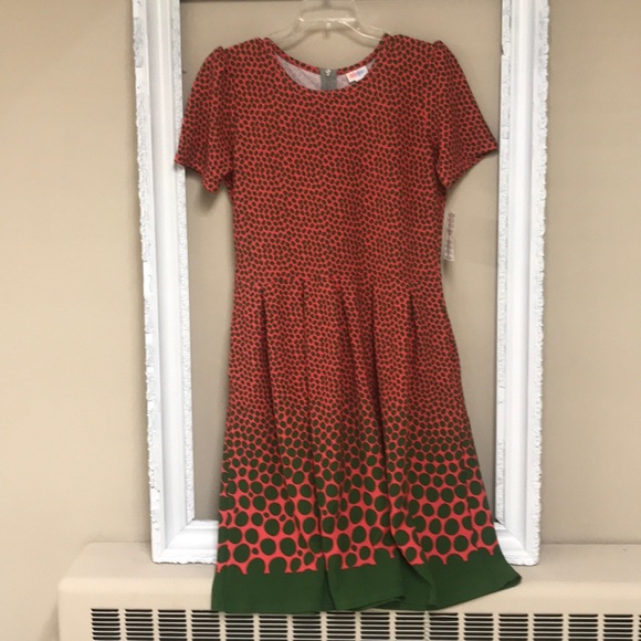 Lulus Dresses & Skirts - LuLu Roe Amelia Dress
